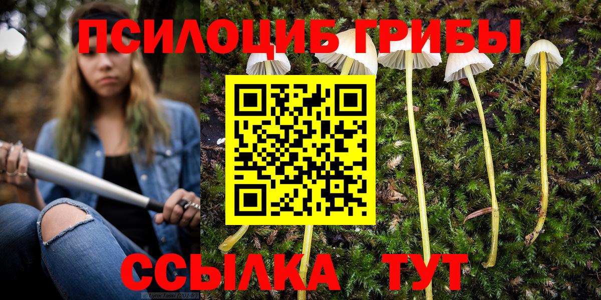 Галлюциногенные грибы прущие грибы  Псилоцибиновые грибы прущие грибы  Бор  Вход с VPN 